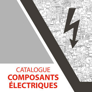 Catalogue pièces détachées composants électrique