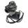  Acv 557A4029