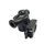  Acv 557A4035