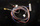 Cablage vanne 3 voies Chaffoteaux 65116584