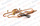 Vanne 4 voies (circuit complet) Ariston 65154978