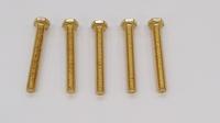 Vis 7985 m6x50 (5 pcs.) De Dietrich S100534
