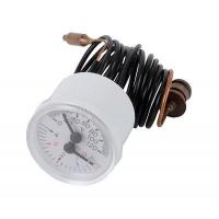 Thermohydrometre Riello 4366673