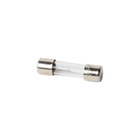 Fusibl5x20 6.3a-250v Thermor 199910