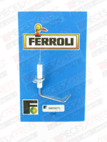 Sonde ionisation oasic/f/m24c30/domi Ferroli 39805670