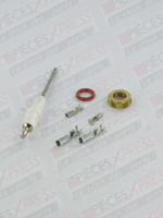 Electrode ionis econ 51/101/kombi Ferroli 39806200