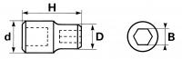 Douille pour porte-embout 1/4 Sam Outillage RD-1