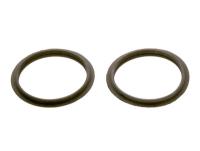 Joint d59 (2x) Elm Leblanc / Bosch 8737711102