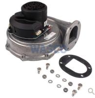 Souffleur rg175/2000-3633-010204 Aosmith 0309119(S)