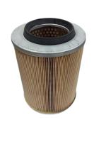 Filtre a air moorea 125-300 De Dietrich 829892