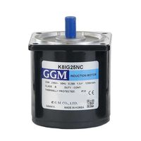 Moteur ggm k8ig25nc ac 25w6tr/min80x80mm 14702040 Generic