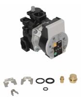 Circulateur Ferroli 39847401