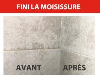 Pulverisateur anti-moisissures 750ml GRIFFON 6309645