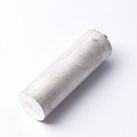 Anode magnesium d33 l100 Atlantic électrique 029284