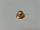 Bouchon 3/8" 4p021633-2 Daikin 102093J