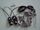 Cablage regulation solaire ci quadro 750 Oertli 300019530
