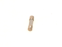 Fusible 2,5 ampere a Elm Leblanc / Bosch 7098442