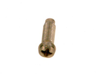 Vis (x10) Elm Leblanc / Bosch 87034010510