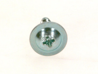 Vis (10x) Elm Leblanc / Bosch 87134030120