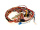 Faisceau elec excellent Buderus 75358