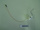 Electrode ionisation Generfeu 400303