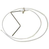 Sonde ionisation sanigaz gp Atlantic Guillot 072809