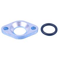 Bouchon raccordement reducteur pression Atlantic Guillot 076563