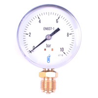 Manometre Atlantic Guillot 078898
