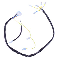 Cablage Atlantic Guillot 079239