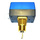 Flow switch Atlantic Guillot 072219