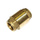 Clapet anti retour Atlantic Guillot 601345
