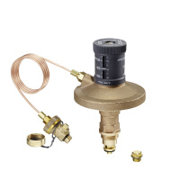 Tete pour hydromat dp dn40 Oventrop 1064596
