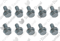 Vis (x10) Saunier Duval 0010033673
