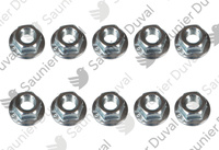 Ecrou, (x10) Saunier Duval 0010034388