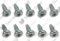 Vis, (x10) Saunier Duval 0010036492