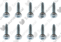 Vis, (x10) Saunier Duval 0010036511