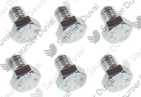 Vis, (x6) Saunier Duval 0010045612