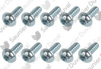 Vis, (x10) Saunier Duval 0010046086