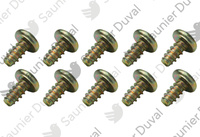 Vis (x10) Saunier Duval 0020047013