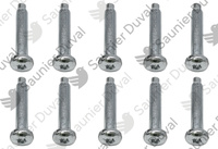 Vis M5x33 (x10) Saunier Duval 0020097192