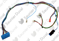 Faisceau, pompe Saunier Duval 0020207127