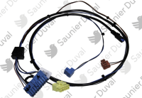 Faisceau Saunier Duval 0020218232