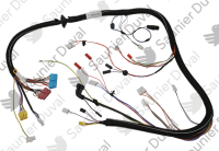 Faisceau, 24V G30 Saunier Duval 0020238058