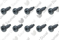 Vis, (x10) Saunier Duval 0020273858