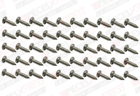 Vis (x50) Saunier Duval 05480100