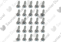 Vis (x25) Saunier Duval 05484200