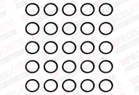 Joint torique (x25) Saunier Duval 05491800