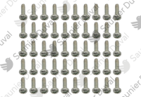 Vis (x50) Saunier Duval 05493800