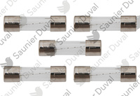 Fusible 2A (x5) Saunier Duval 05651700