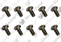 Vis (x10) Saunier Duval S1043400